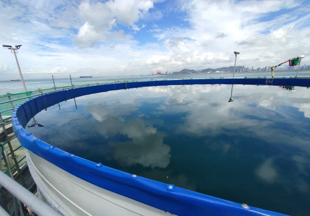 On-site chemical handling with IBC tanks